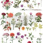 redesign-with-prima-redesign-decor-transfer-floral